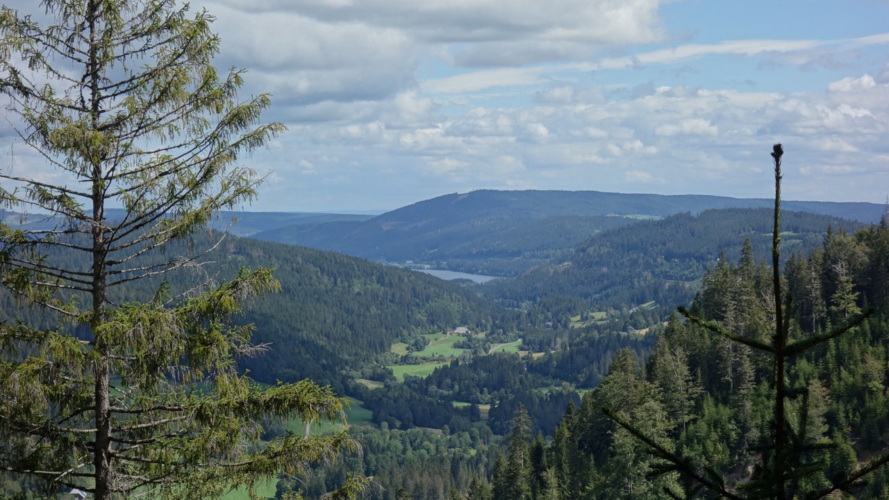 Photo of Others in Falkau