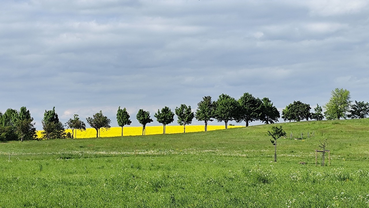 Photo of Others in Malschendorf