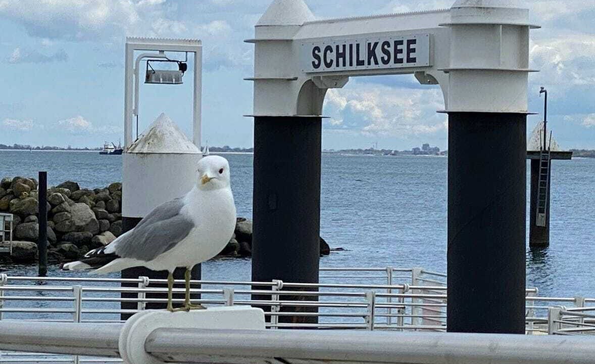 Photo of Others in Schilksee