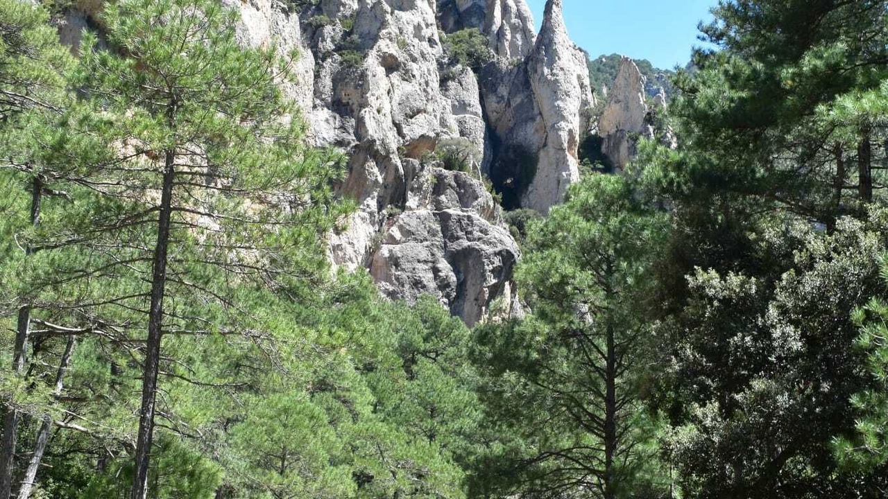 Photo of Others in Cretas