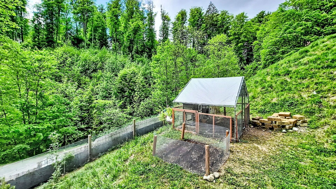 Photo of Outdoor in Gnadenwald