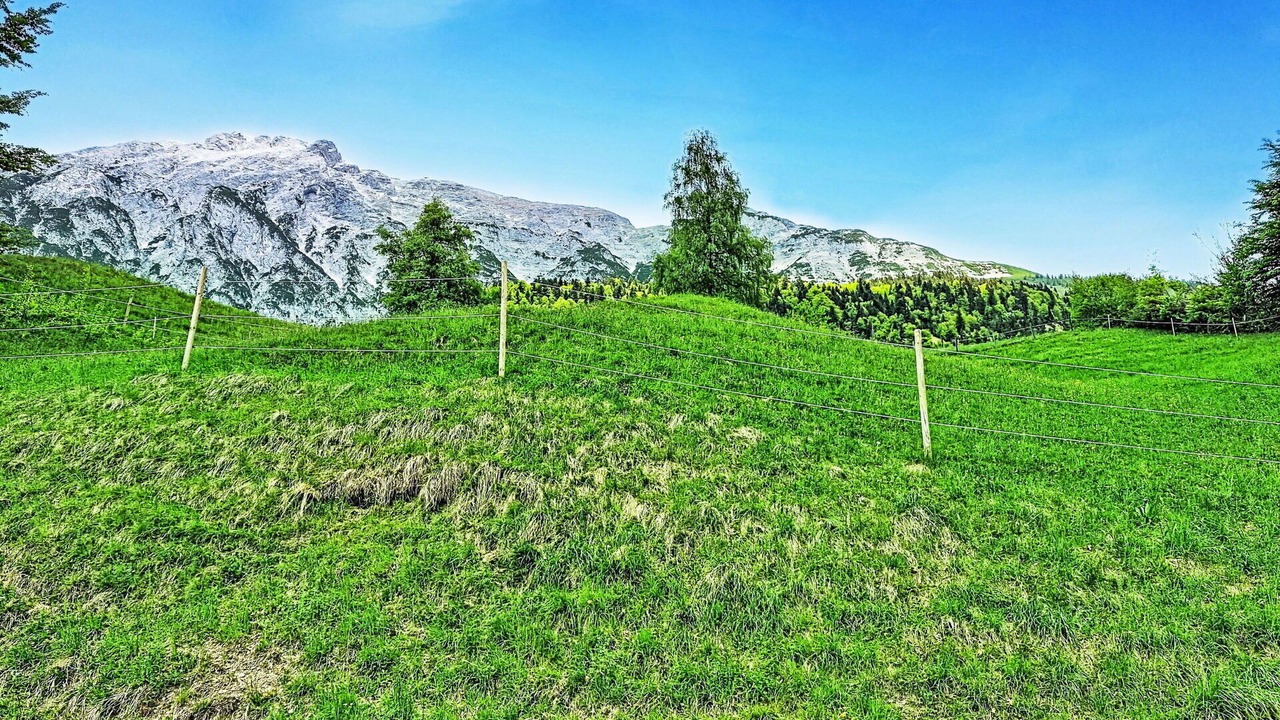 Photo of Others in Gnadenwald