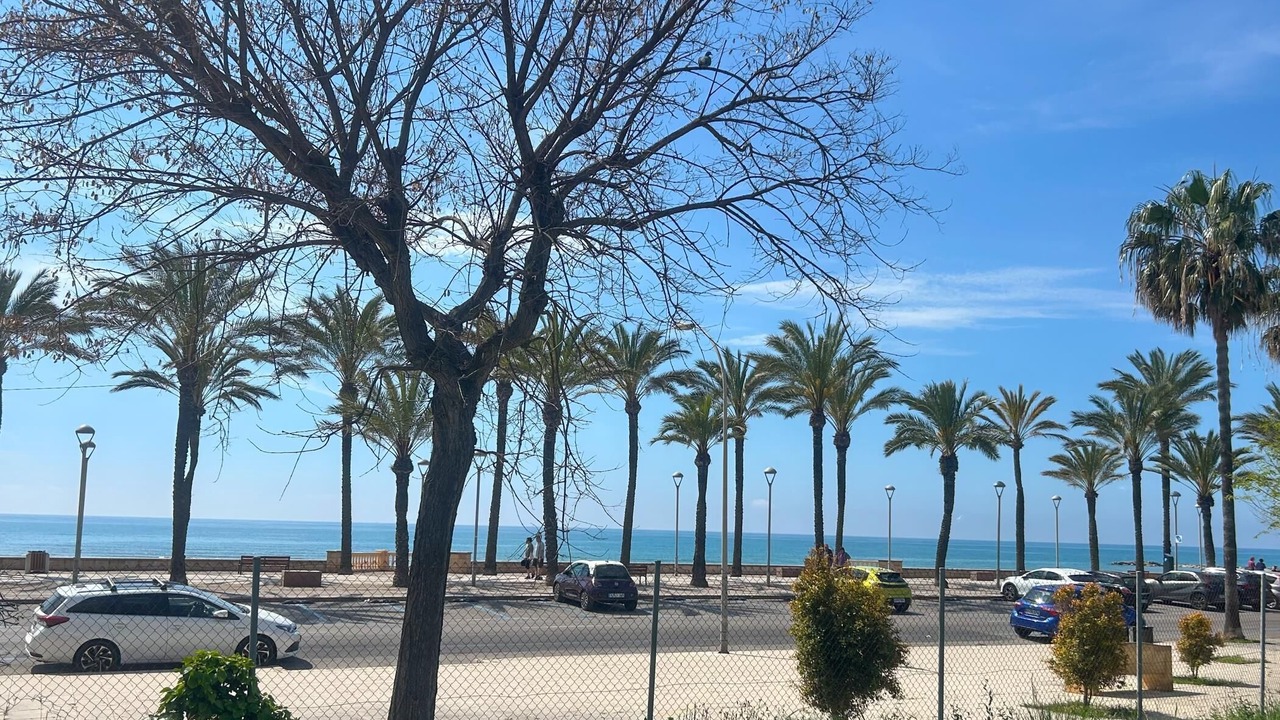 Photo of Others in Vilanova I la Geltru