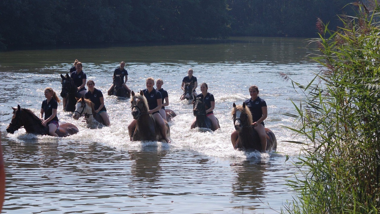Photo of Others in Metelen