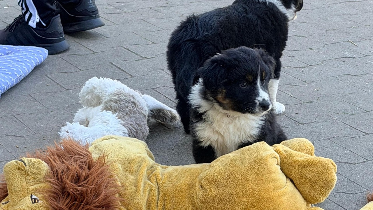 Photo of Others in Mettingen