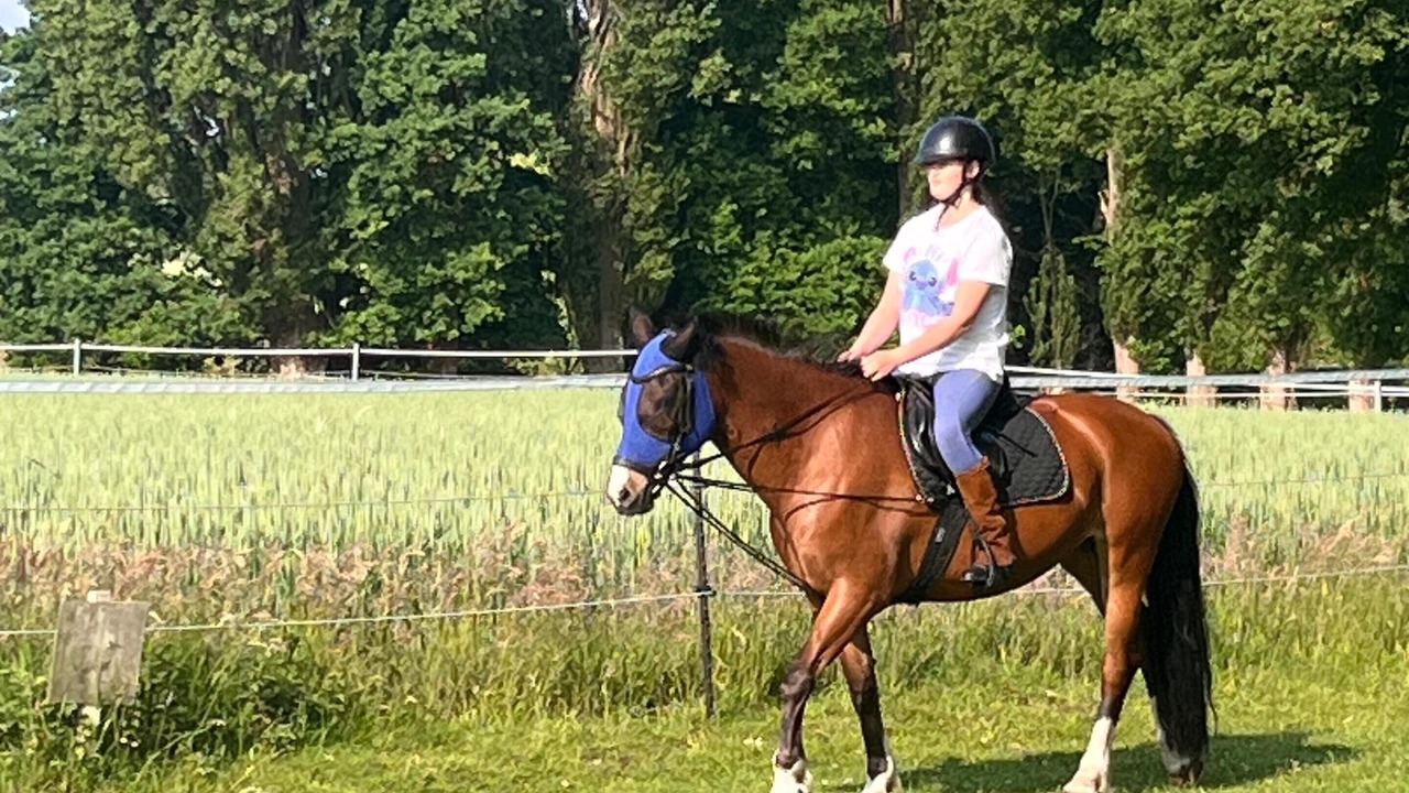 Photo of Others in Mettingen
