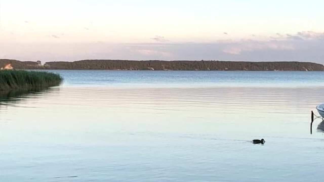 Photo of Others in Neeberg