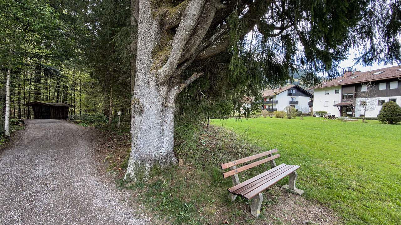 Photo of Outdoor in Steibis