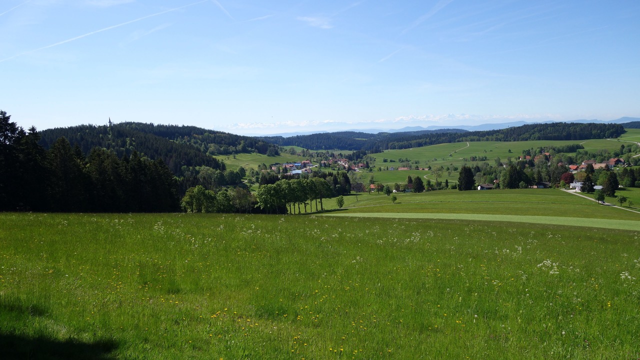 Photo of Others in Herrischried