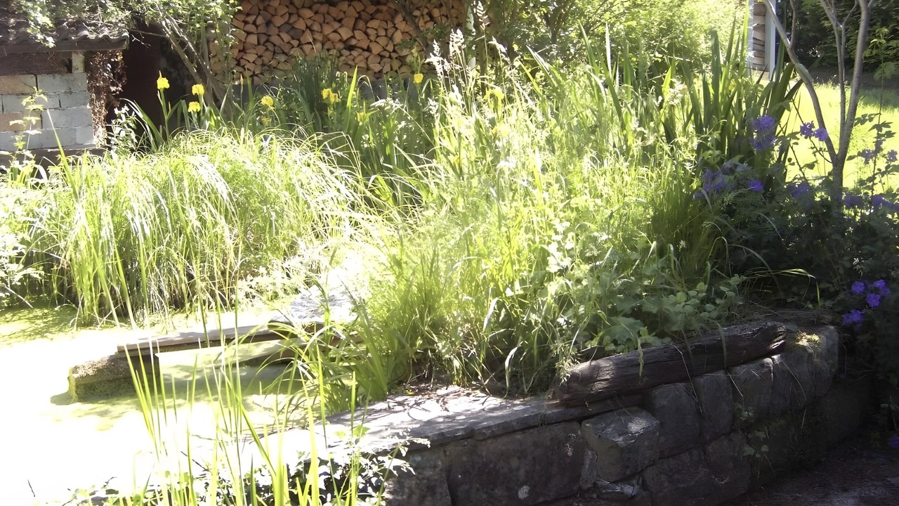 Photo of Outdoor in Allagen