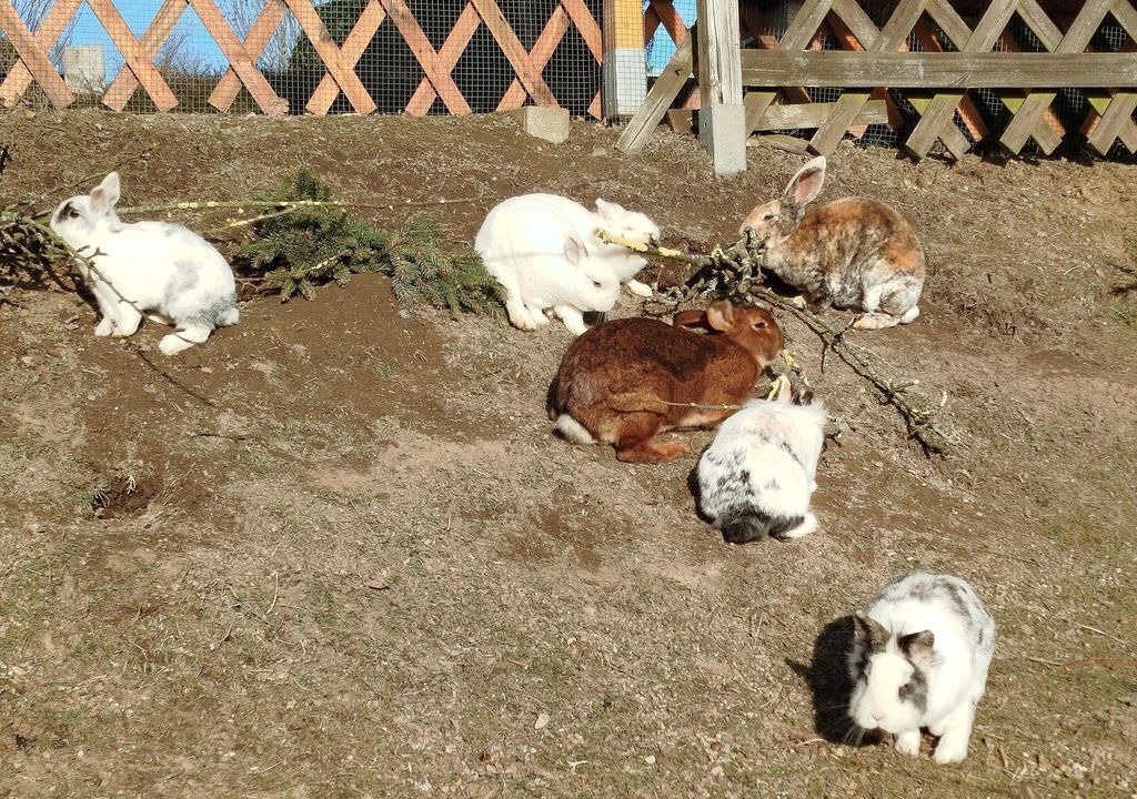 Photo of Others in Mittelndorf