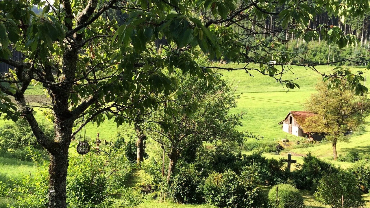 Photo of Outdoor in Hornberg