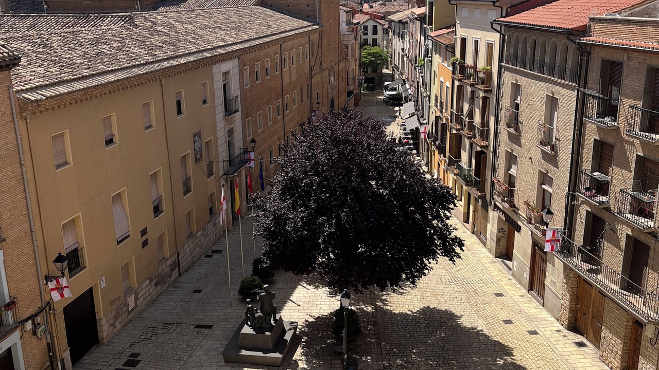 Photo of Others in Tudela