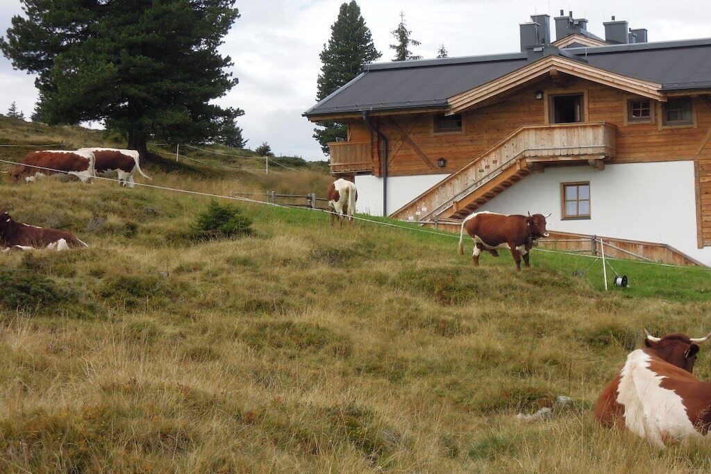 Photo of Others in Hochkrimml