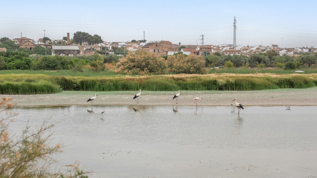 Photo of Others in Fuente de Piedra