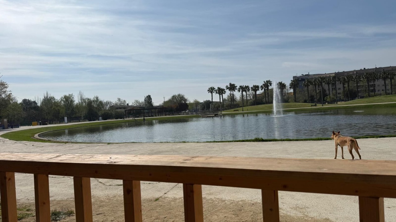 Photo of Outdoor in Amposta