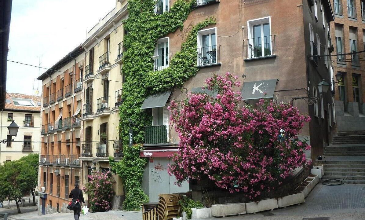 Photo of Outdoor in Embajadores