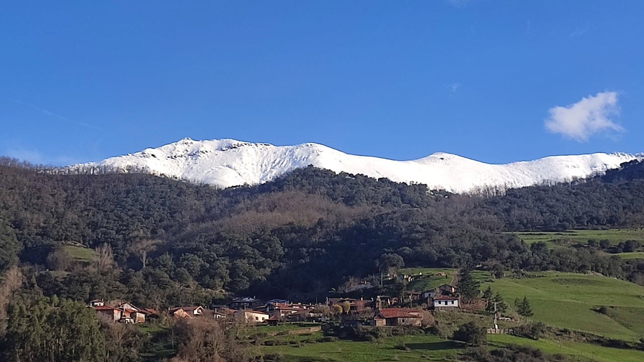Photo of Others in Torices