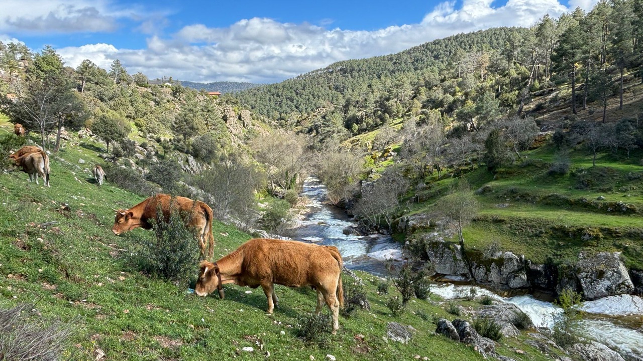 Photo of Others in El Pimpollar