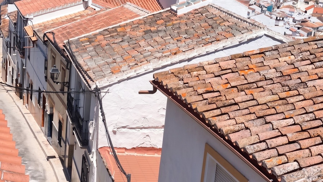 Photo of Others in Ardales