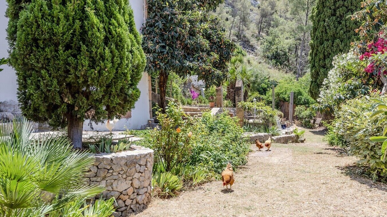 Photo of Others in Sant Pere de Ribes