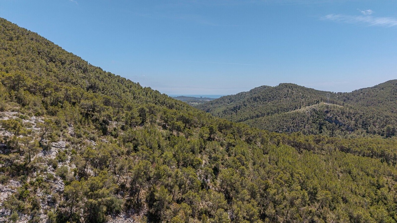 Photo of Others in Sant Pere de Ribes