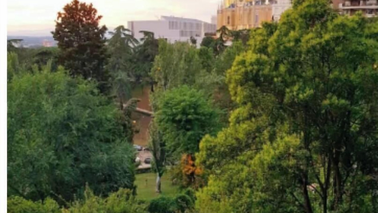 Photo of Outdoor in Palacio