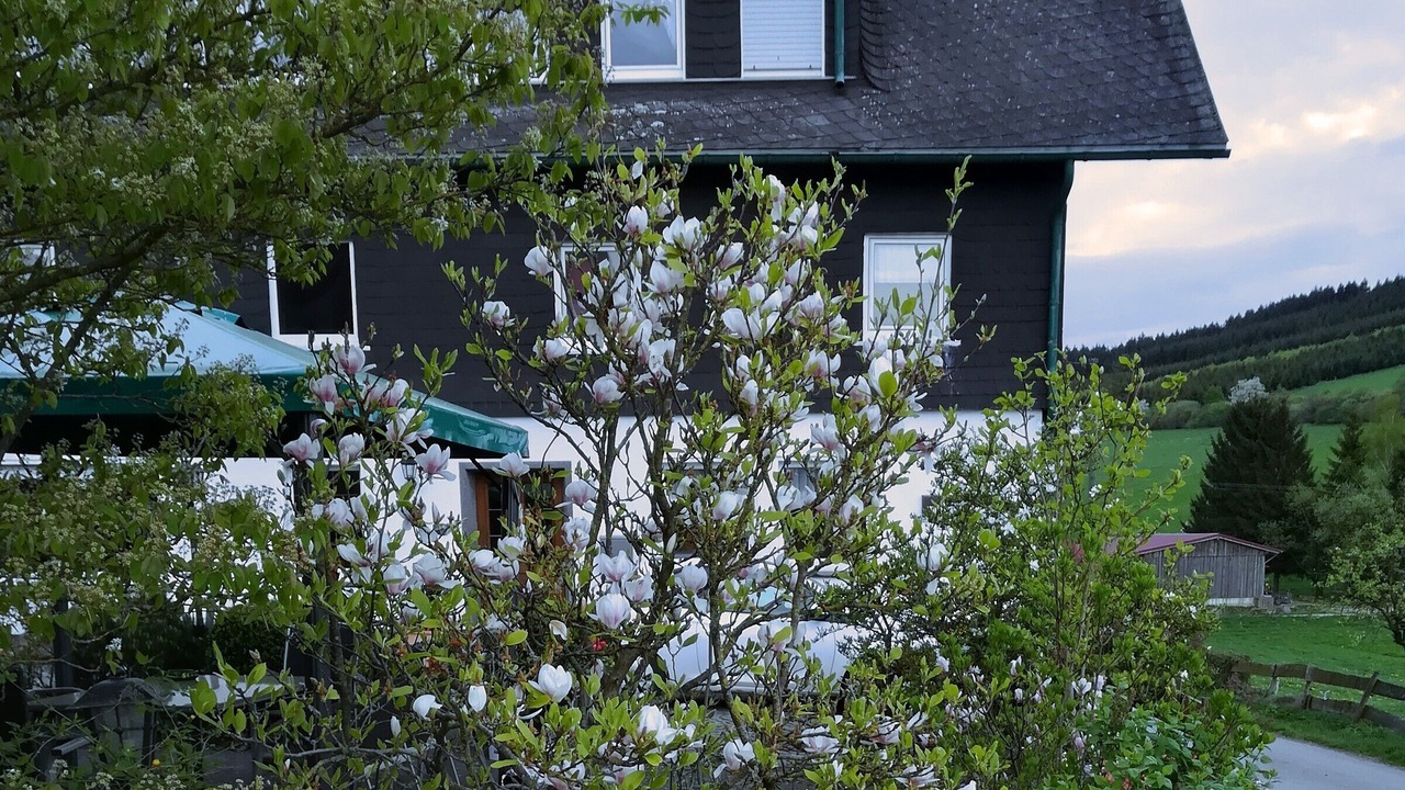 Photo of Outdoor in Lennestadt