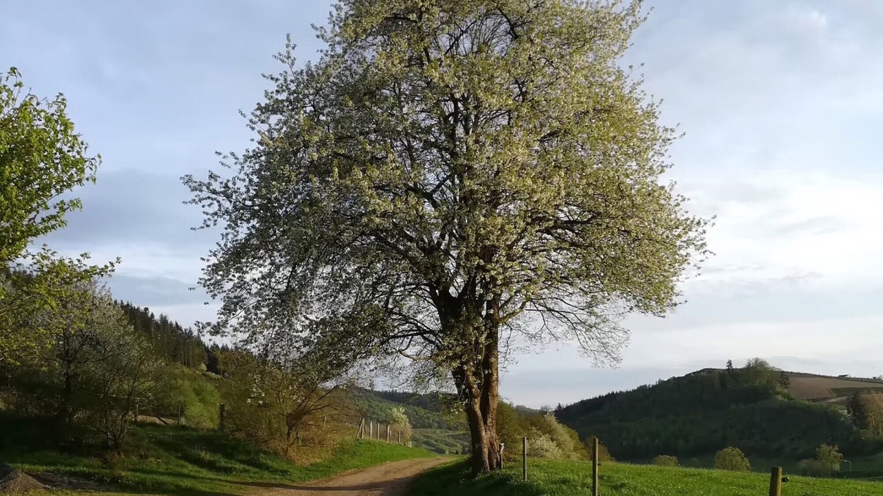 Photo of Others in Lennestadt
