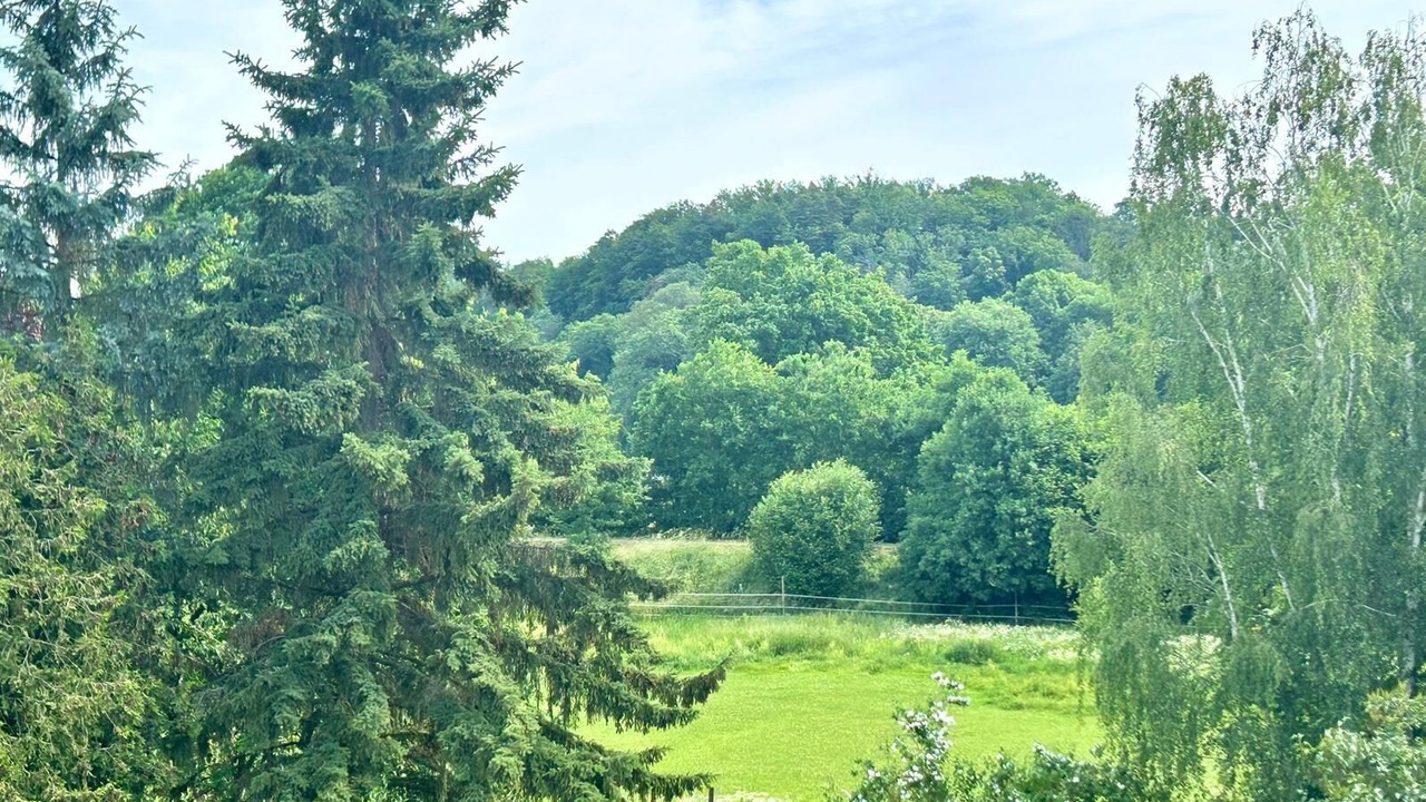 Photo of Others in Grimma