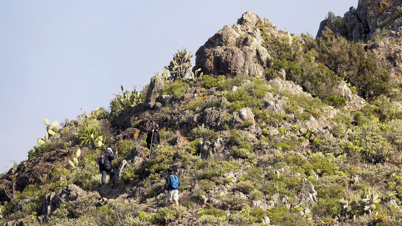Photo of Others in Buenavista del Norte