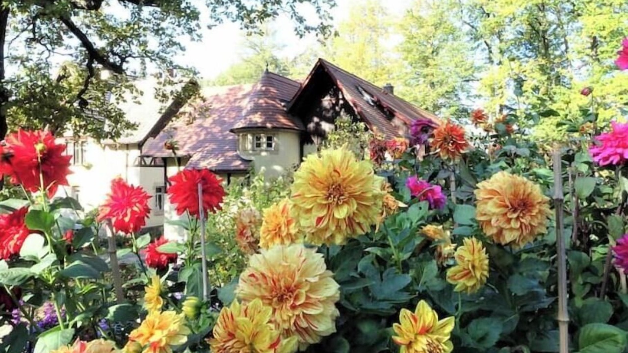 Photo of Outdoor in Bielatal