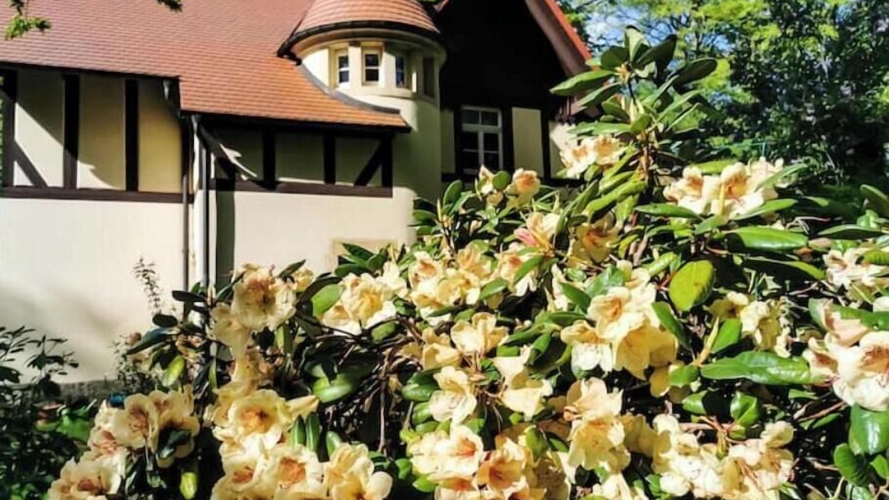 Photo of Outdoor in Bielatal