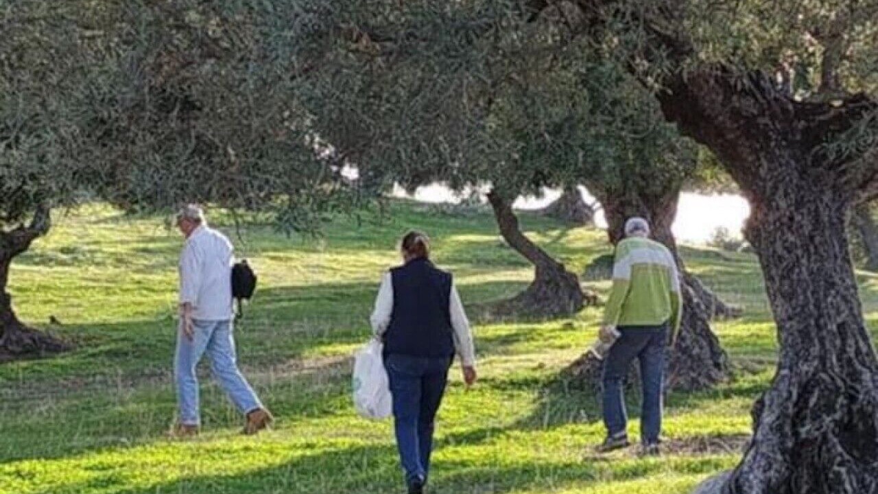 Photo of Others in Montellano