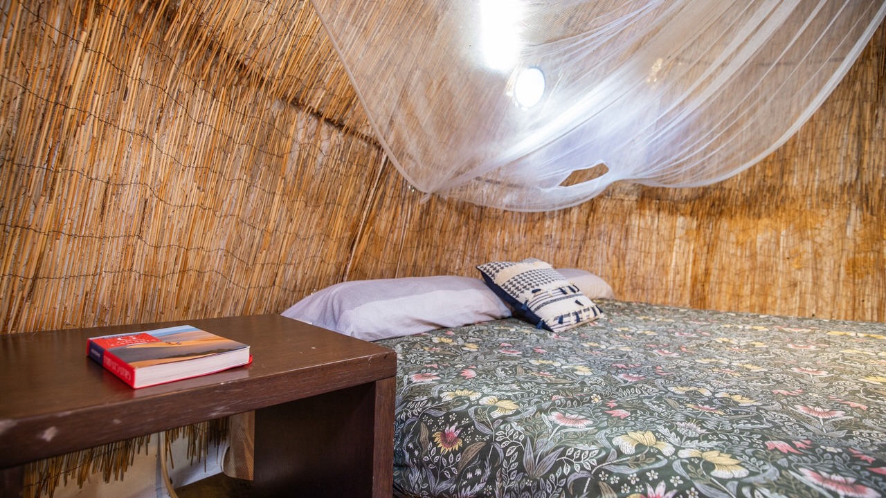 Photo of Bedroom in Agaete