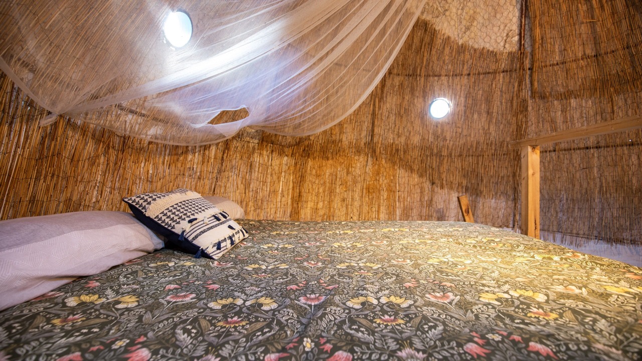 Photo of Bedroom in Agaete