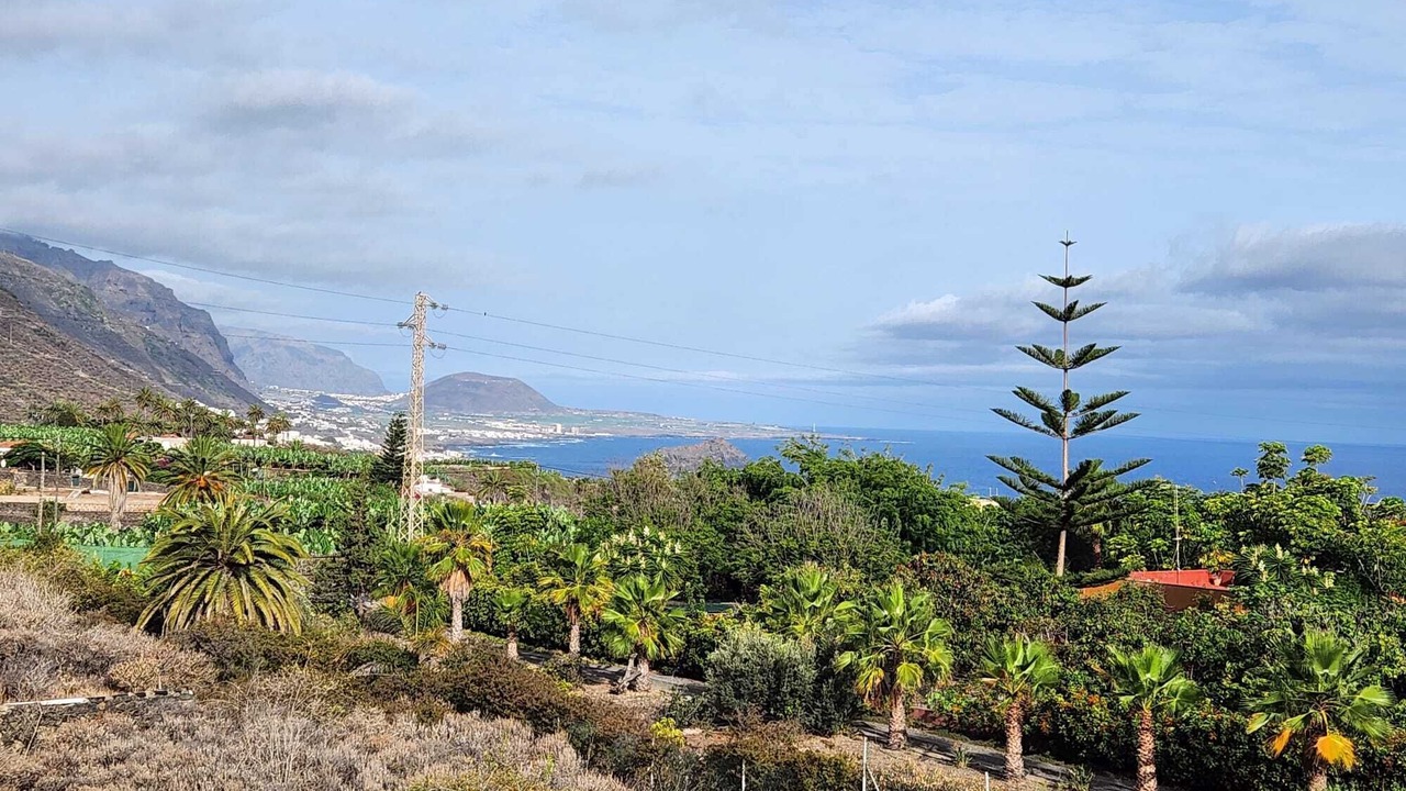 Photo of Outdoor in Icod de los Vinos