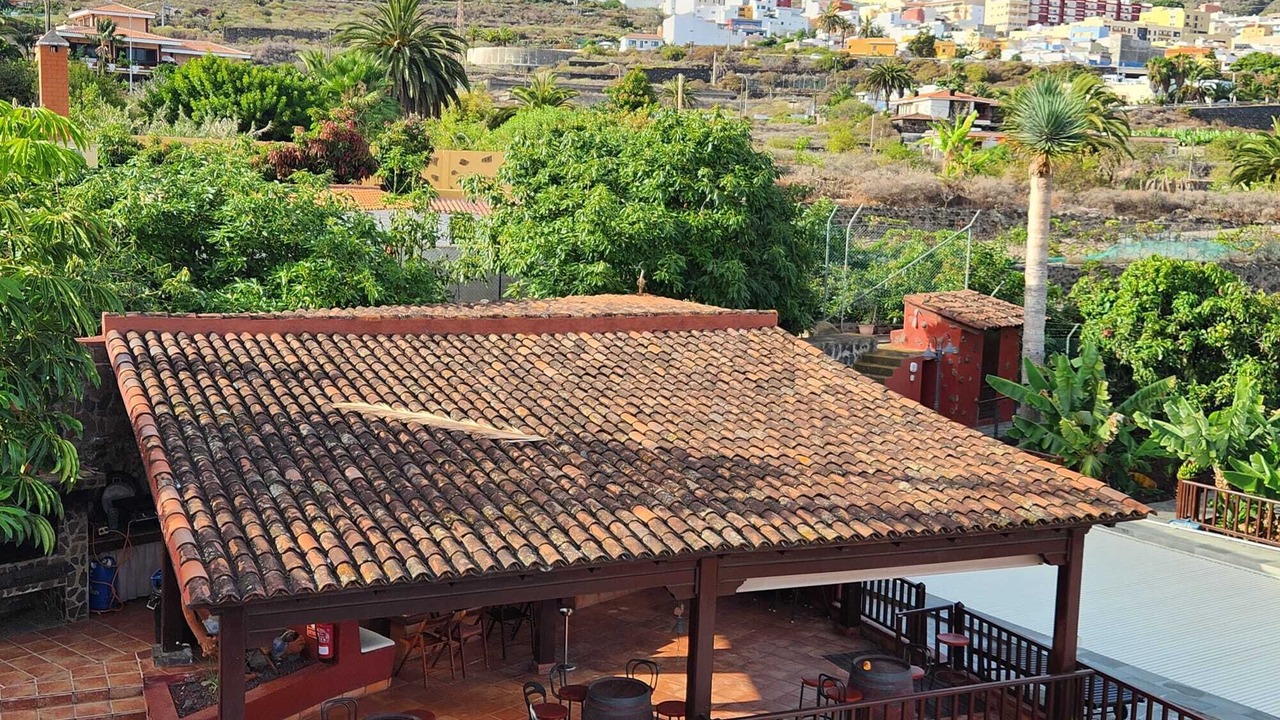 Photo of Outdoor in Icod de los Vinos