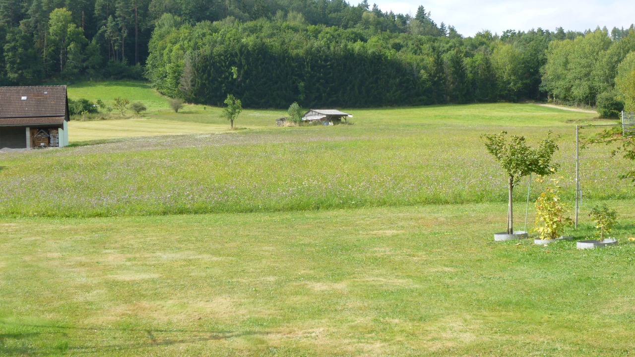 Photo of Outdoor in Ahorntal
