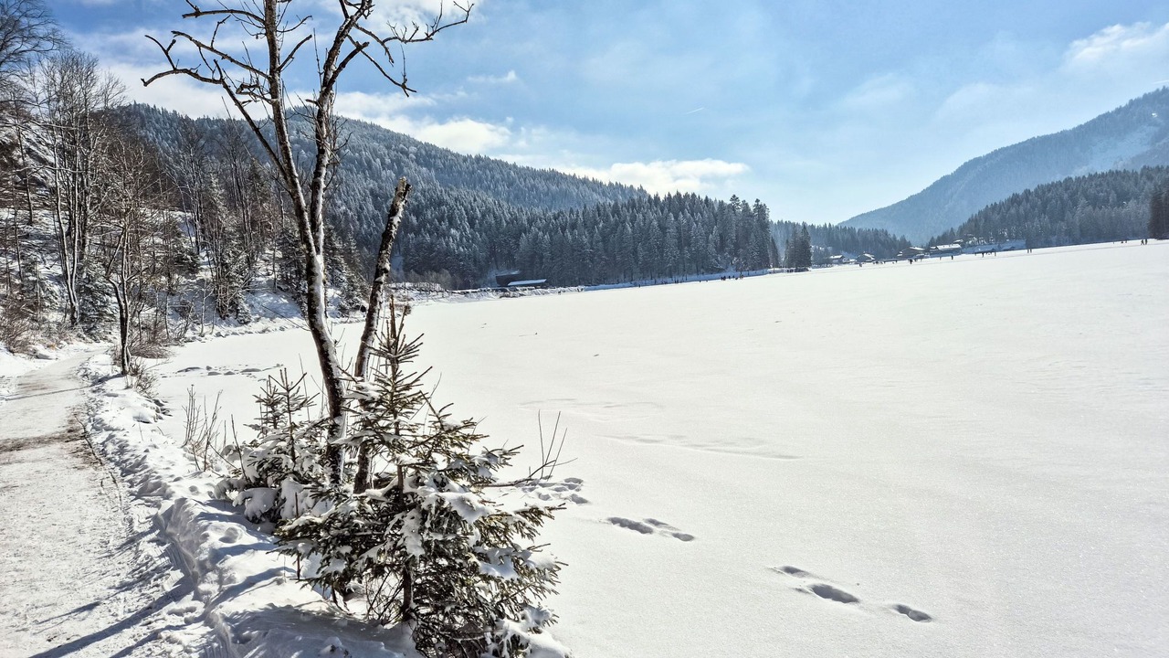 Photo of Others in Fischbachau