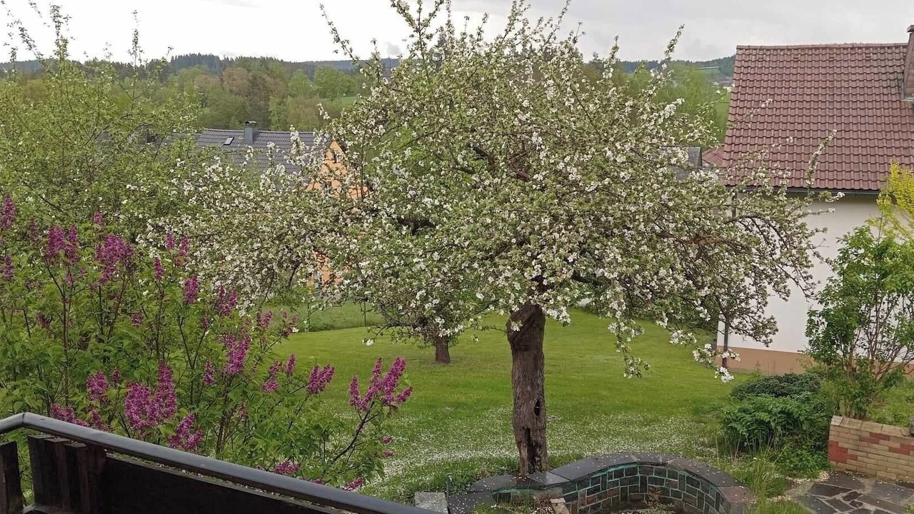 Photo of Outdoor in Roeslau