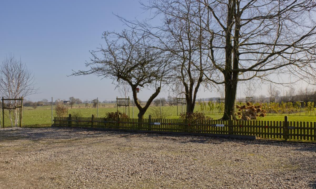 Photo of Outdoor in Neue Tiefe
