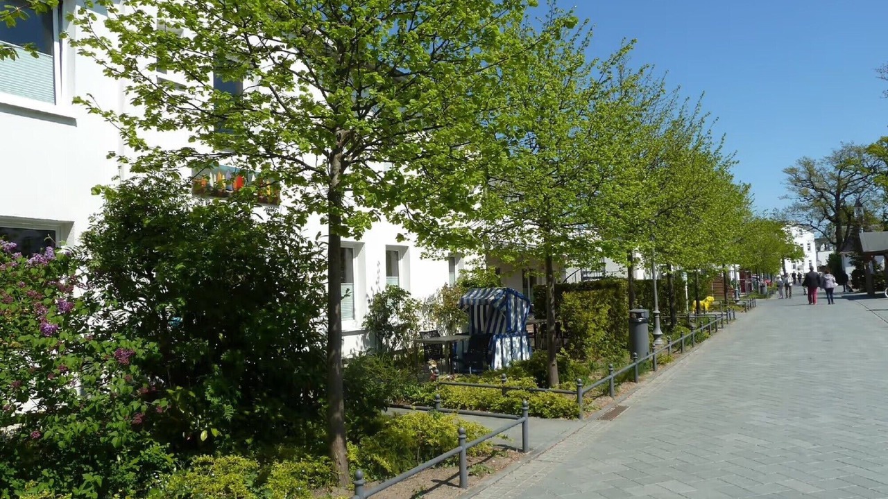 Photo of Others in Binz