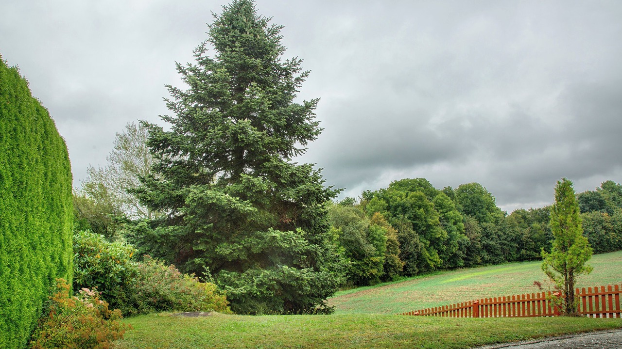 Photo of Outdoor in Bad Griesbach im Rottal