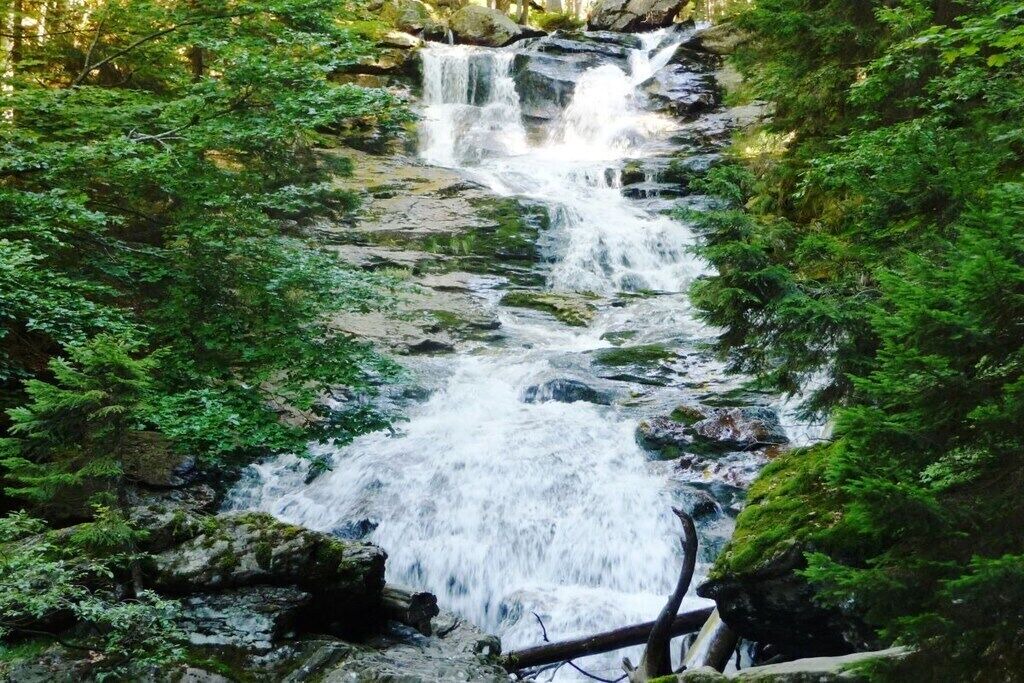 Photo of Others in Kirchdorf im Wald