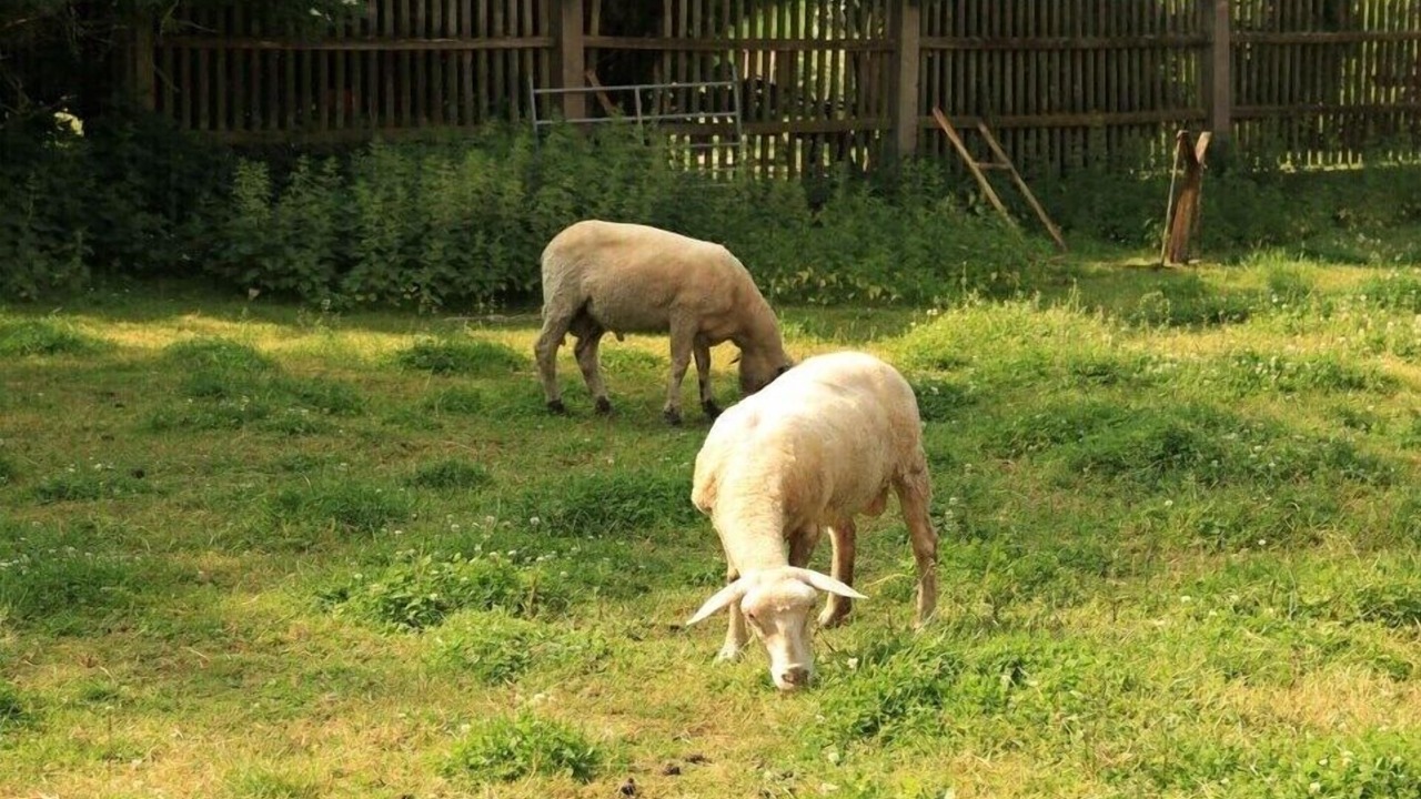 Photo of Others in Himmelkron