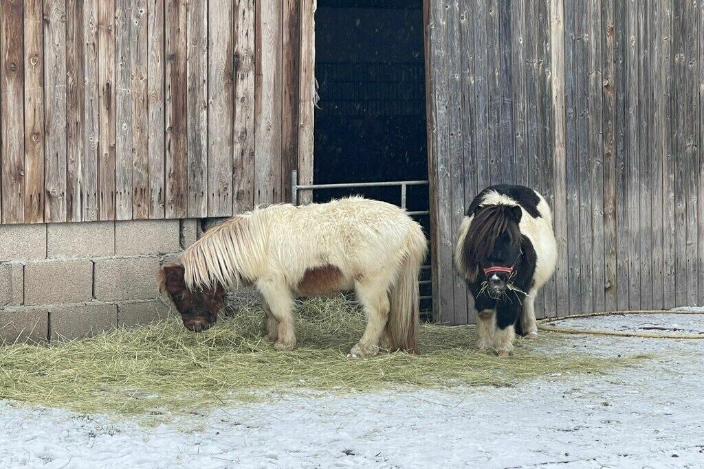 Photo of Others in Himmelkron