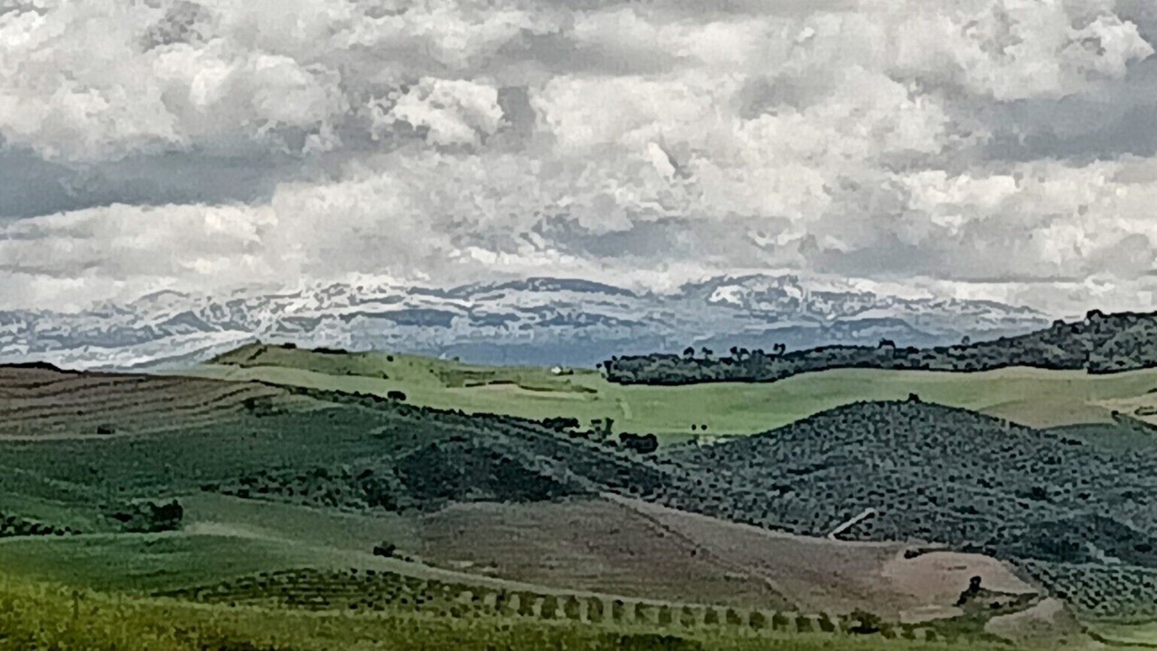 Photo of Others in Montecorto