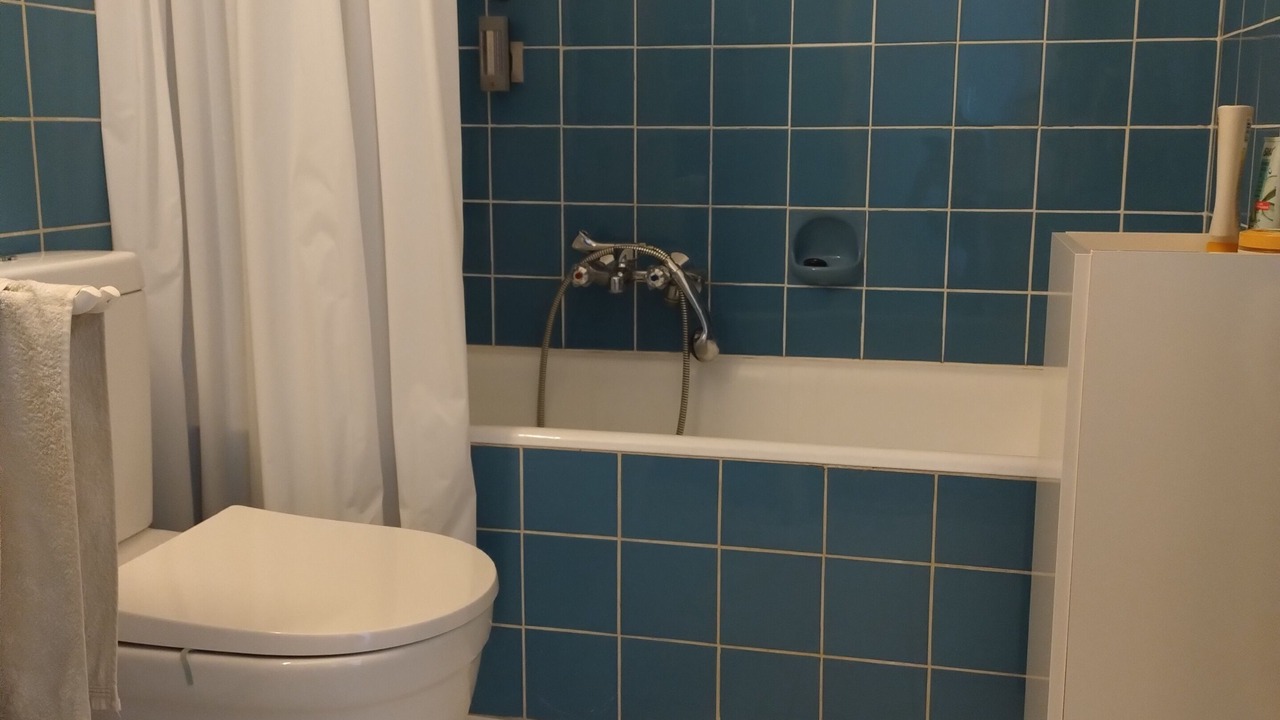 Photo of Bathroom in Friedenheim