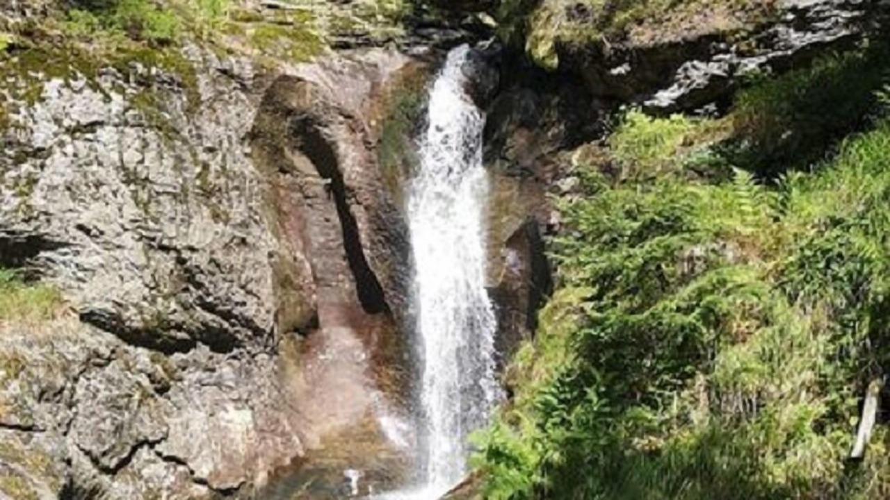 Photo of Outdoor in Schofweg